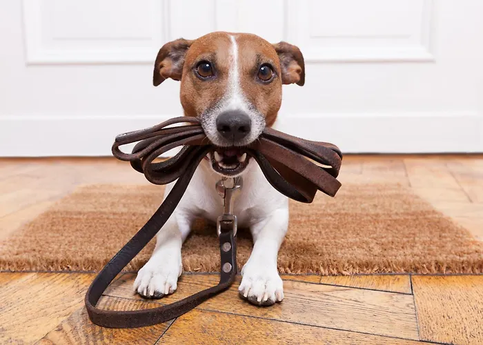 Hoam By Schladming-appartements 公寓